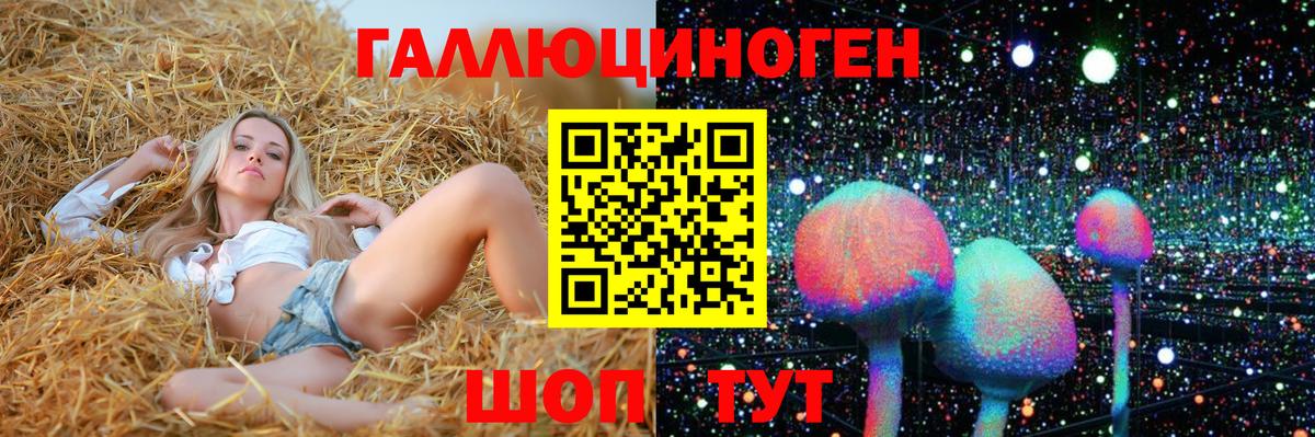 Псилоцибиновые грибы мухоморы  Галлюциногенные грибы Psilocybine cubensis  Ивантеевка  Вход с VPN 